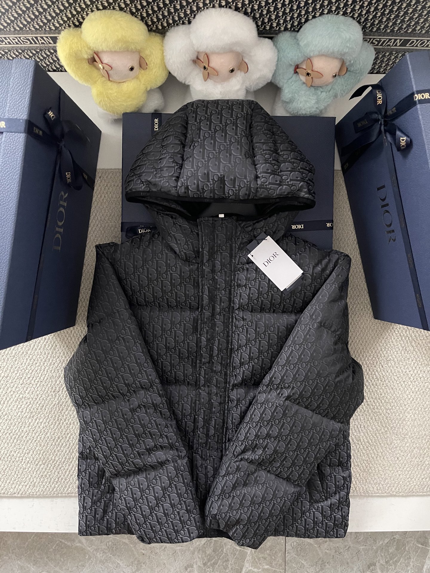 Dior Oblique 후드 퀼트 다운 재킷