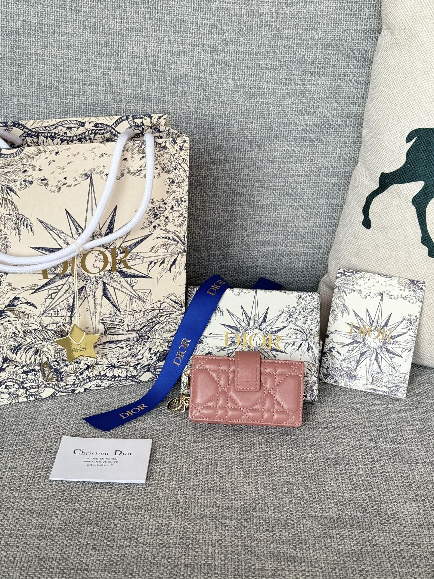 Lady Dior Jasmine 카드 지갑