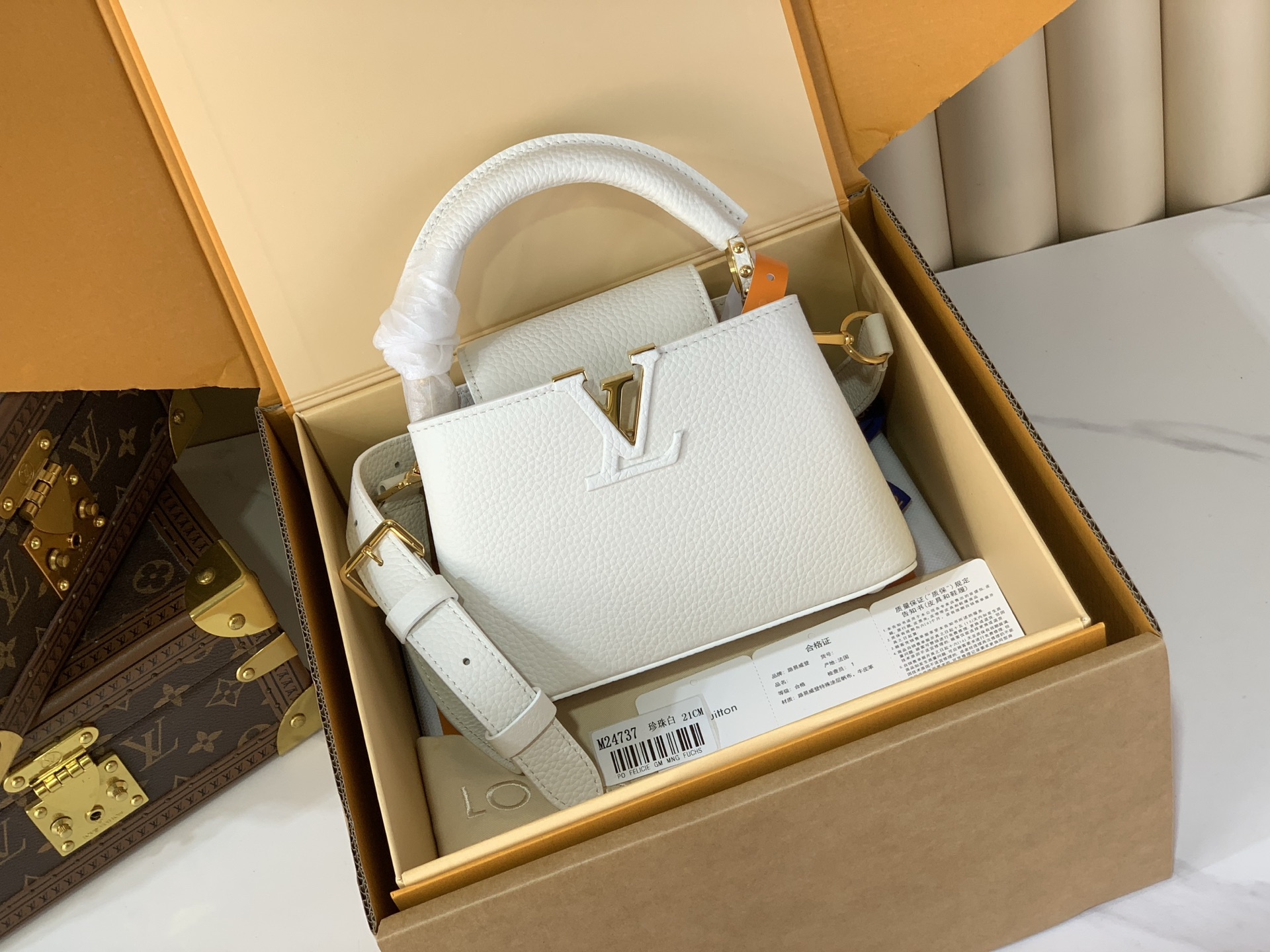 M24737 카퓌신 미니 21.0 x 14.0 x 8.0 cm